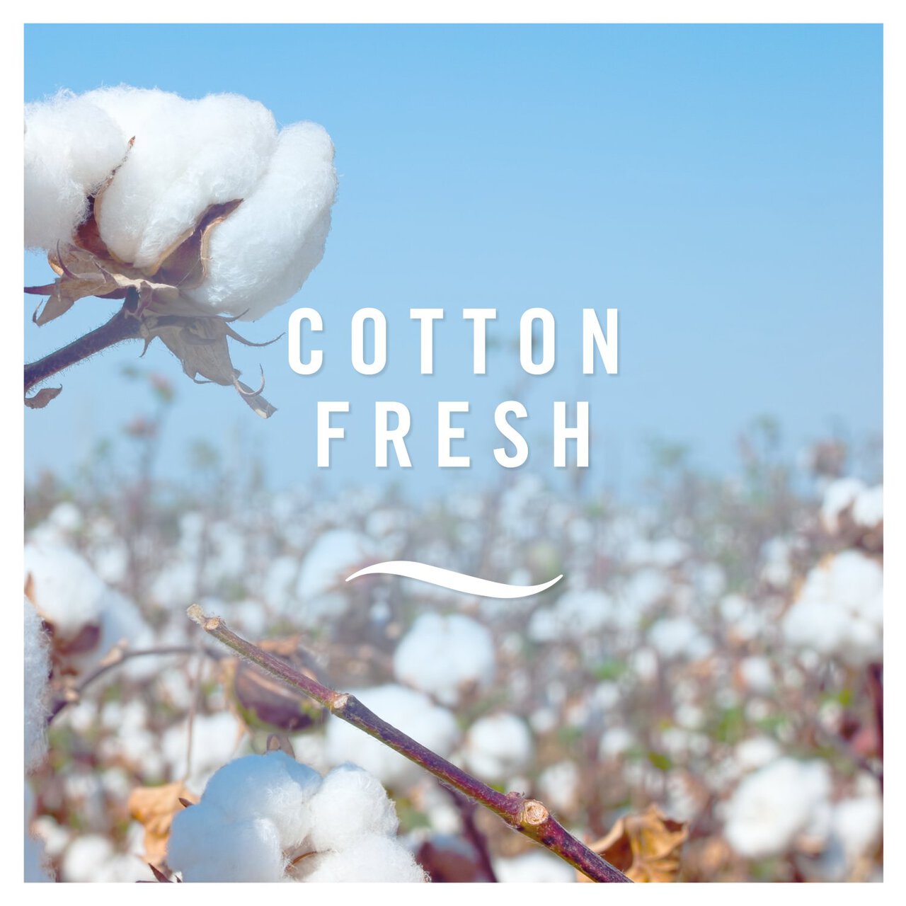 Febreze 3Volution Cotton Fresh Scent - Plug In Diffuser Air Freshener Refills - Home & Office Odour Eliminator Fragrances 20ml